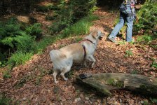 53_gc_stammtisch_21_20150506